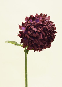 79cm Mum Spray Burgundy
