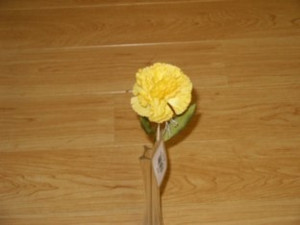 Carnation Dark Yellow