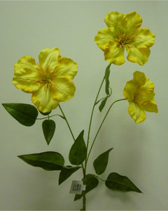 79cm Clematis Spray x3 Yellow