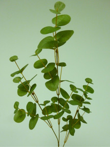 74cm Eucalyptus Spray x 3 Green