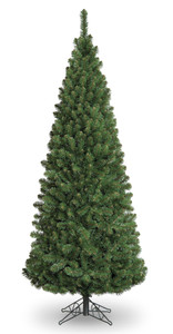 5ft Slim Glacier Fir Pencil 418Tp 5ft Slim Glacier Fir Pencil 418Tp