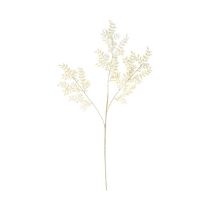 Essential Dry Look Bleached Ruscus