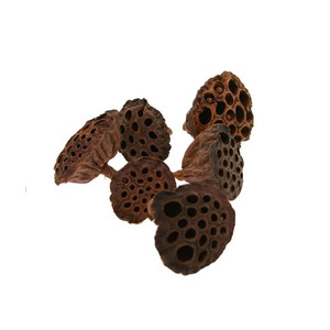 4-6cm Small Lotus Heads (x30) (32) 4-6cm Small Lotus Heads (x30) (32)