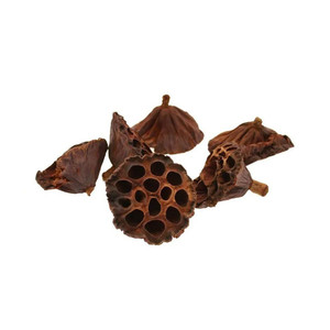 6-8cm Medium Lotus Heads (x20) (32) 6-8cm Medium Lotus Heads (x20) (32)