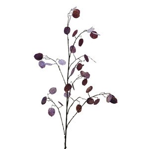 Silver Dollar Purple 141cm