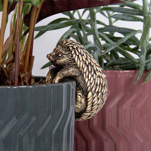 Plant Pot Pals Hedgehog