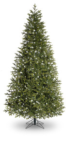 8ft St Louis Pine Tree 1466T 750L