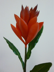 51cm Ginger Spray Burgundy