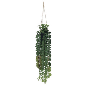 Botanica Hanging Plant - 82cm 