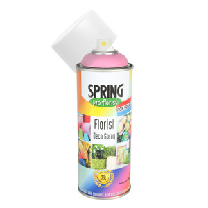 Spray Paint Euro-Aerosols Pale Orchid 400ml
