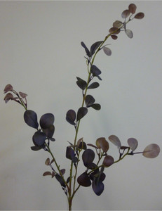 98cm Eucalyptus Purple
