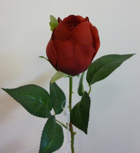 42cm Rosebud Red