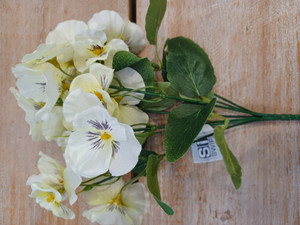 30cm Pansy Bush x7 Cream