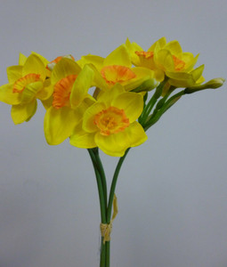 42cm Narcissus Bundle Yellow