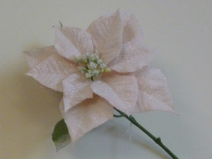 71cm Frosted Poinsettia Pink