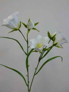58cm Bell Flower Cream