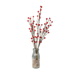 Exterior Berry  Bunch