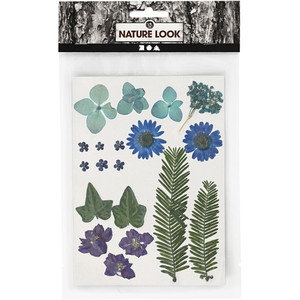 Pressed Flowers and leaves, blue, 19 asstd./ 1 pack