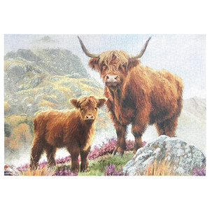 Highland Cow 1000Pc Jigsaw