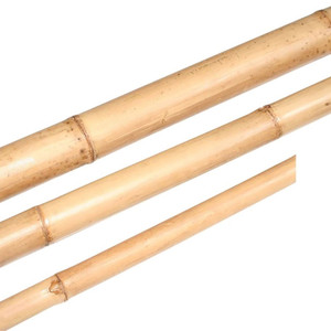 Bamboo Stem D4-5cn