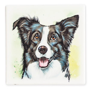 Coaster - Border Collie