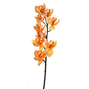 Anna Cymbidium Orchid Peach 88 cm