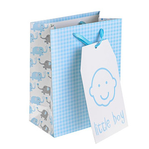 Little Boy Gift Bag Pack of 10