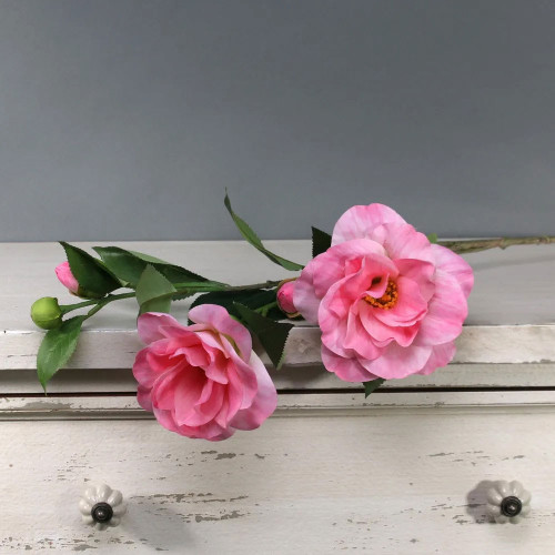 Tintagel Camelia Pink from Country Baskets