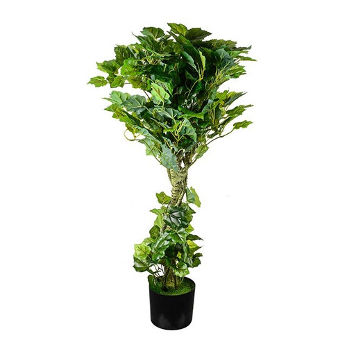 Potted Grape Ivy Topiary 99 cm