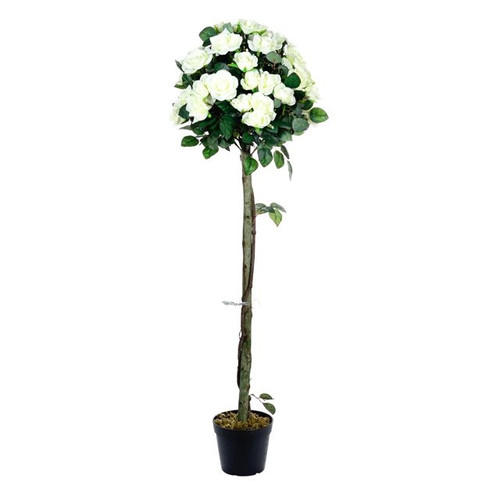 Potted Rose Tree Cream 122Cm from Country Baskets
