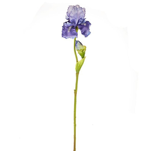Iris Spay Purple 79cm