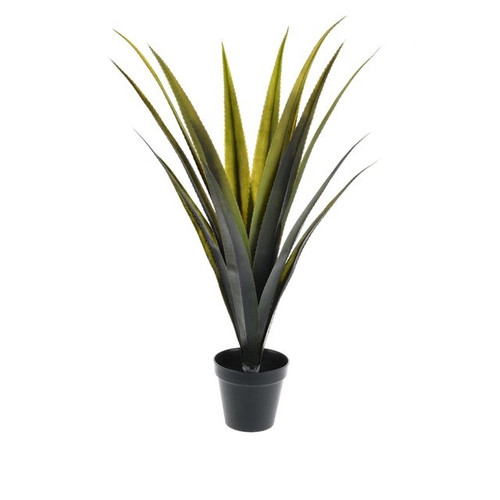 Potted Agave Long Leaf 79 cm