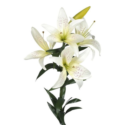Artificial King Lily Cream 76 cm