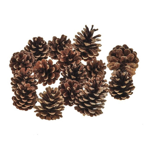 Pine Cones Mixed Sizes 1kg Austriaca