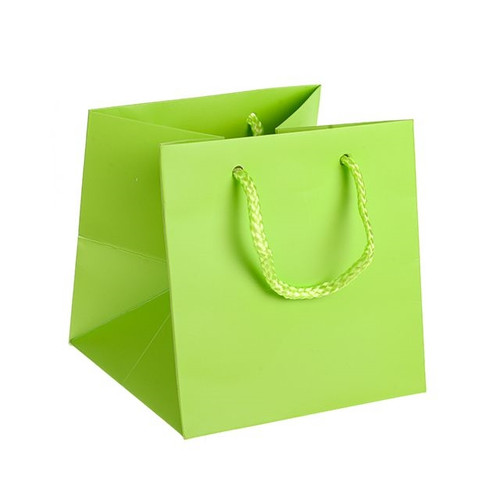 Hand Tie Bag Lime Green Small Pack of 10