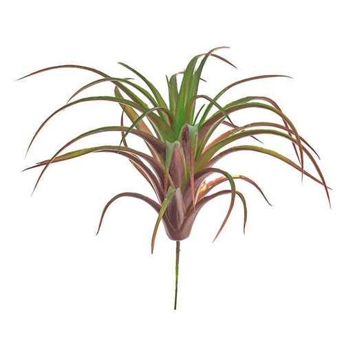 Tillandsia Succulent Pick 16 cm