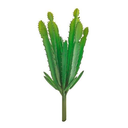 Cactus Pick 17cm Succulent