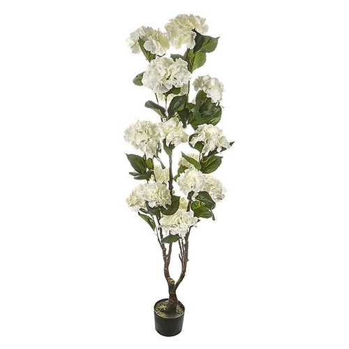 Potted Hydrangea Tree Ivory 1.5 m