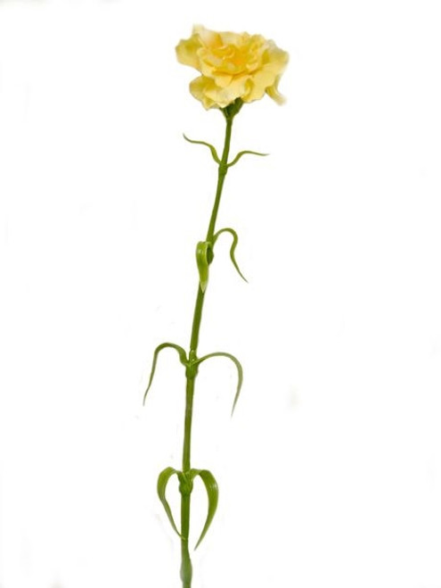 Artificial Carnation Yellow 63 cm