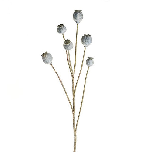 Poppy Seed Pod Spray Grey 79 cm