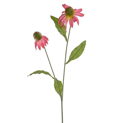 Rudbeckia Spray Pink