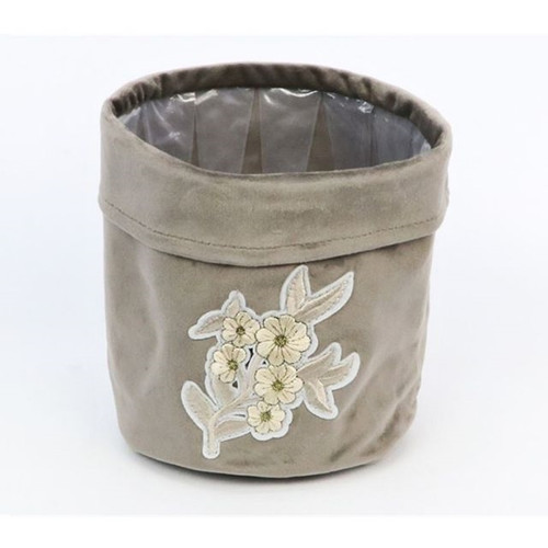 Plant Edelweiss Light Brown Large