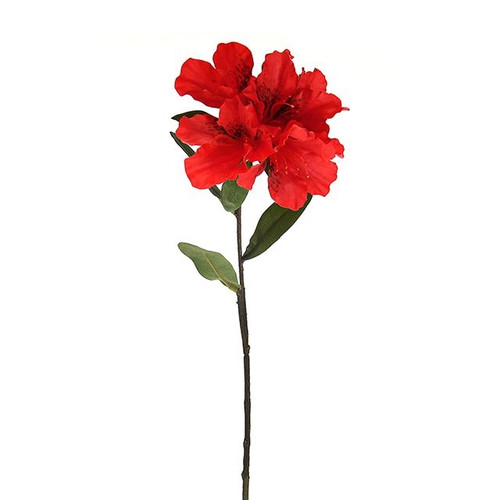 Rhododendron Spray Red 64 cm from Country Baskets