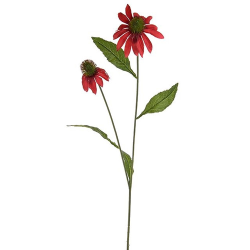 Rudbeckia Spray Red from Country Baskets