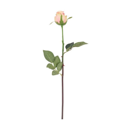 Oxford Pink Blush Rose Bud