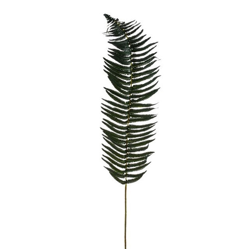 Leaf Fern 132cm