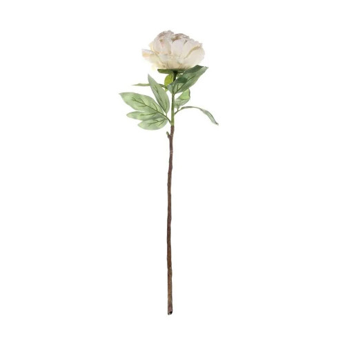 Cream Peony Stem Single