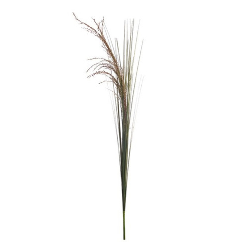 Pampas Spray 112 cm