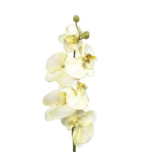 Artificial Phalaenopsis Orchid Cream 75 cm