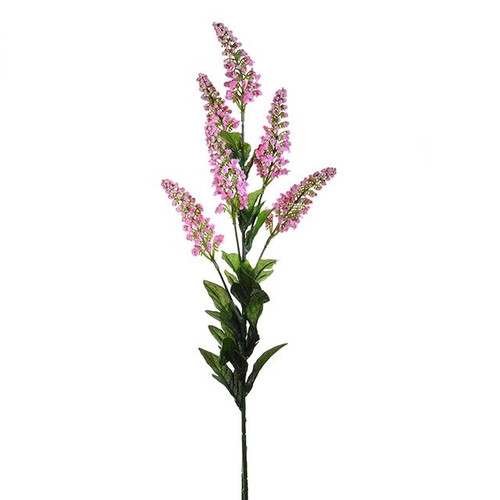 Cottage Garden Veronica Pink 89 cm